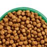 Picture of JWB Adult Dog Chicken & Rice 2kg