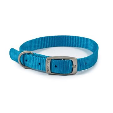 Picture of Ancol Viva Nylon Buckle Collar 26-31cm Size 2 Blue x 1