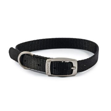 Picture of Ancol Viva Nylon Buckle Collar 26-31cm Size 2 Black x 1