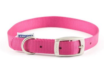 Picture of Ancol Viva Nylon Buckle Collar 28-36cm Size 3 Pink x 1