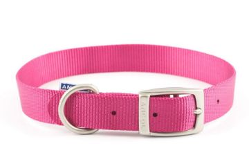 Picture of Ancol Viva Nylon Buckle Collar 39-48cm Size 5 Pink x 1