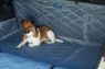 Picture of Henry Wag Pet Car Boot & Bumper Protector Small x 1