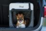 Picture of Henry Wag Canvas Pet Crate Large 79 x 55 x 60cm x 1