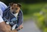 Picture of Henry Wag Microfibre Pet Towel Small 100 x 70cm x 1