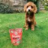 Picture of Laughing Dog Fruity Paws Dog Treats (Strawberry & Peanut Butter) 125g x 5