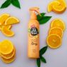 Picture of Pet Head Ditch the Dirt Deodorizing Spray 300ml x 1