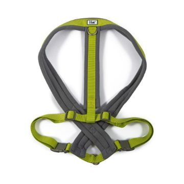 Picture of Ancol Viva Padded Harness XX-Large 97-130cm Lime x 1