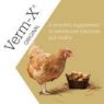 Picture of Verm-X Liquid for Poultry 250ml x 1