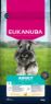 Picture of Eukanuba Adult Small Breed Chicken 12kg