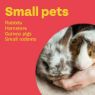 Picture of Bob Martin Clear Small Animal Spot-On Flea Tick & Mite Treatment x 1