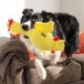 Picture of KONG Scruffs Chicken Medium/Large x 1