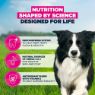 Picture of Eukanuba Senior Medium Breed Chicken 12kg