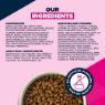 Picture of Eukanuba Senior Small Breed Chicken 12kg