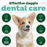 Picture of TropiClean Fresh Breath Dental Wipes 50pk x 1