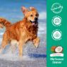 Picture of TropiClean Medicated Itch Relief Oatmeal & Tea Tree Shampoo 355ml x 1