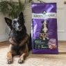 Picture of Arden Grange Adult Dog Large Breed - Chicken & Rice 12kg