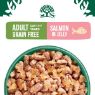 Picture of JWB Senior Cat Pouch Grain Free Salmon Jelly 85g x 12