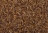 Picture of J&J Dried Mealworms 1kg x 1