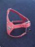 Picture of Avon Bull Terrier 'Breastplate' Harness Croc Pink x 1