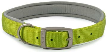 Picture of Ancol Viva Padded Nylon Buckle Collar Lime L 45-54cm Size 6 x 1