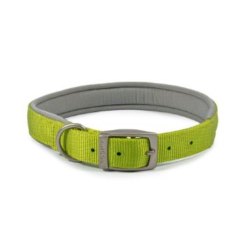 Picture of Ancol Viva Padded Nylon Buckle Collar Lime XL 50-59cm Size 7 x 1