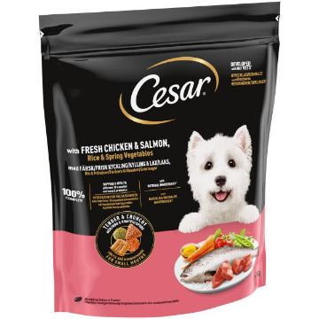 Picture of Cesar Complete Dry Adult Dog Chicken, Salmon & Veg 1.4kg x 1