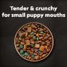 Picture of Cesar Complete Dry Puppy Chicken, Rice & Veg 1.4kg x 1