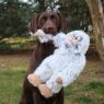 Picture of Tall Tails Plush Yeti Dog Toy 14" x 1