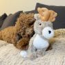 Picture of Tall Tails Plush Jackalope Twitchy Dog Toy 9" x 1
