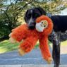 Picture of Tall Tails Plush Rope Body Orangutan Dog Toy 14" x 1