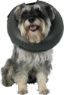 Picture of Thrive Comfy Collar Size 3 Medium 12"-16" x 1