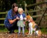 Picture of Halti Comfort Collar Large 45-60cm Red x 1