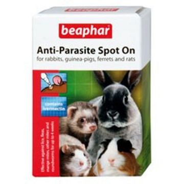 Picture of Beaphar Anti-Parasite Spot On Rabbits / Guinea Pigs x 1