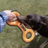 Picture of KONG Armor Double Tug Large x 1