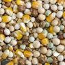 Picture of Bamfords Top Flight High Protein Economy Pigeon 20kg