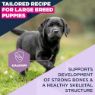 Picture of Eukanuba Puppy Large Breed Chicken 3kg