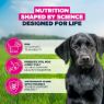 Picture of Eukanuba Puppy Large Breed Chicken 3kg