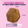 Picture of Eukanuba Puppy Large Breed Chicken 3kg