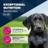 Picture of Eukanuba Puppy Cans Turkey & Carrot 400g x 6