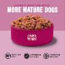 Picture of Barking Heads Dog Pouch All Hounder Golden Years 300g x 10