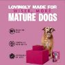 Picture of Barking Heads Dog Pouch All Hounder Golden Years 300g x 10