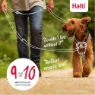 Picture of Halti Nylon Training Lead Large Forest Green 25mm x 2m x 1
