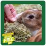 Picture of Excel Nature Snacks Veg Patch Bites 60g x 8