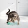 Picture of KONG Cat Toy Infused Catnip Egg 2-pk x 1