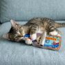 Picture of KONG Cat Toy Crackles Sardine x 1