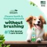Picture of TropiClean Fresh Breath Oral Care Gel DOG 59ml x 1