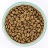 Picture of Burns Puppy Mini Chicken & Rice 2kg
