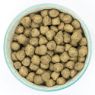 Picture of Burns Sensitive Dog Pork & Potato 12kg