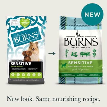 Picture of Burns Sensitive Dog Pork & Potato 6kg