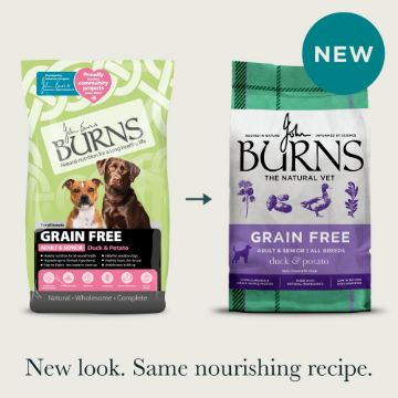 Picture of Burns Sensitive Grain Free Adult Dog Duck & Potato 2kg